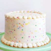 Special Vanilla Cake