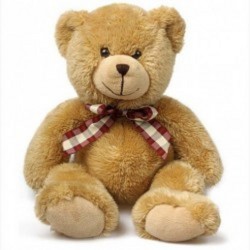 18-inch soft teddy