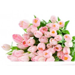 Flowers Pink Tulips Bouquet